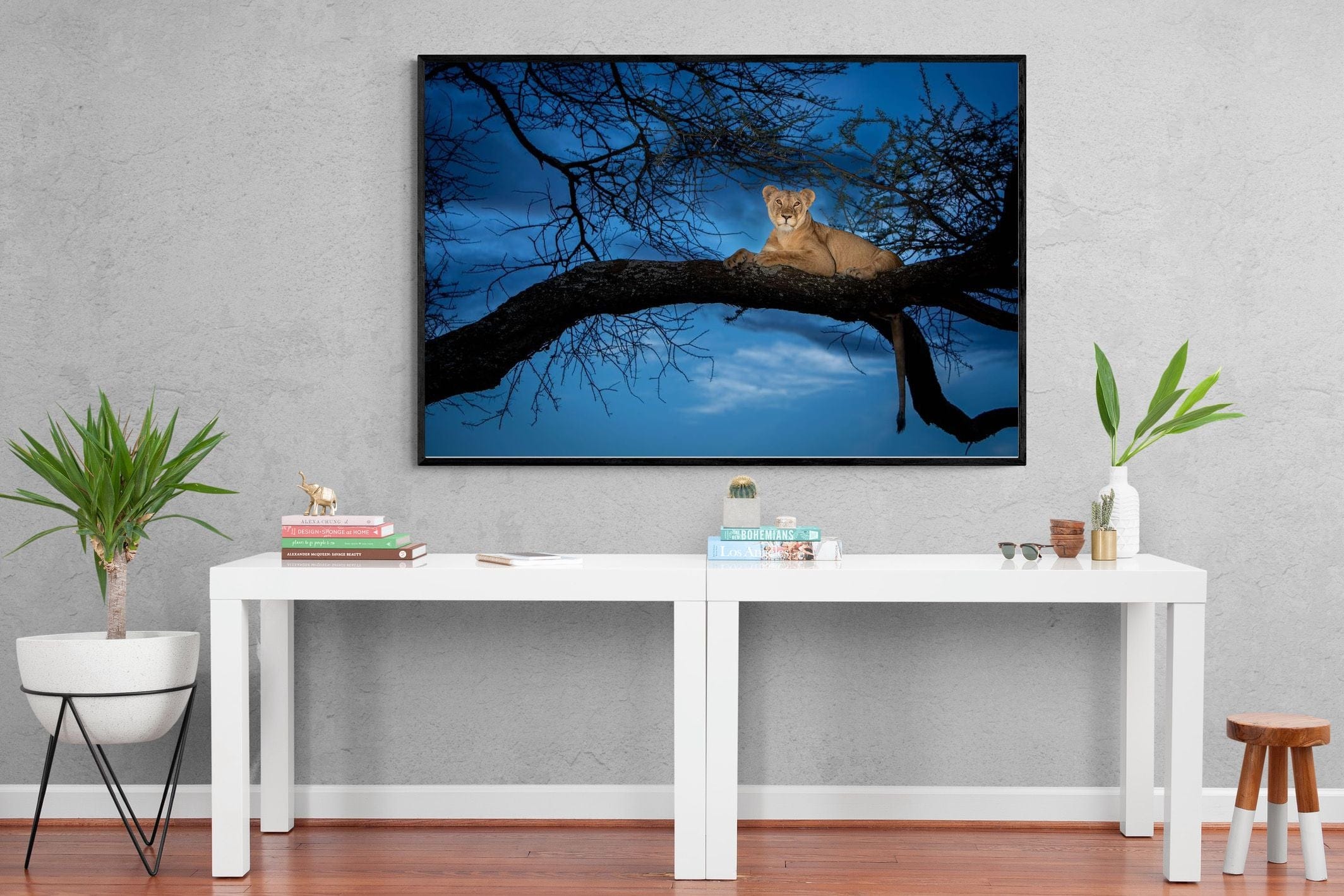 Lion at Dusk-Wall_Art-150 x 100cm-Mounted Canvas-Black-Pixalot