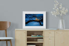 Lion at Dusk-Wall_Art-60 x 45cm-Framed Print-White-Pixalot
