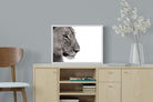 Pixalot Lioness Gaze