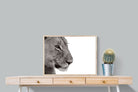 Pixalot Lioness Gaze