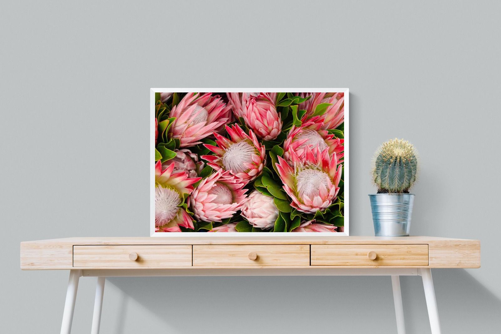 Pixalot Lush Proteas