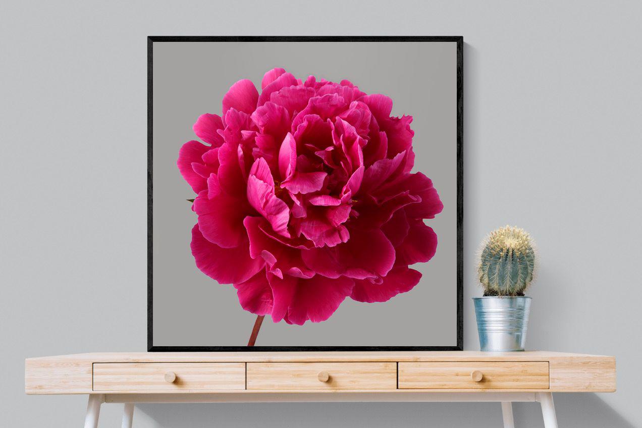 Pixalot Magenta Peony