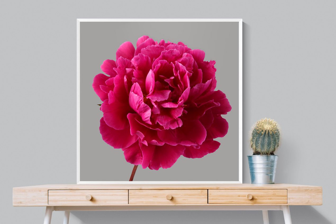 Pixalot Magenta Peony