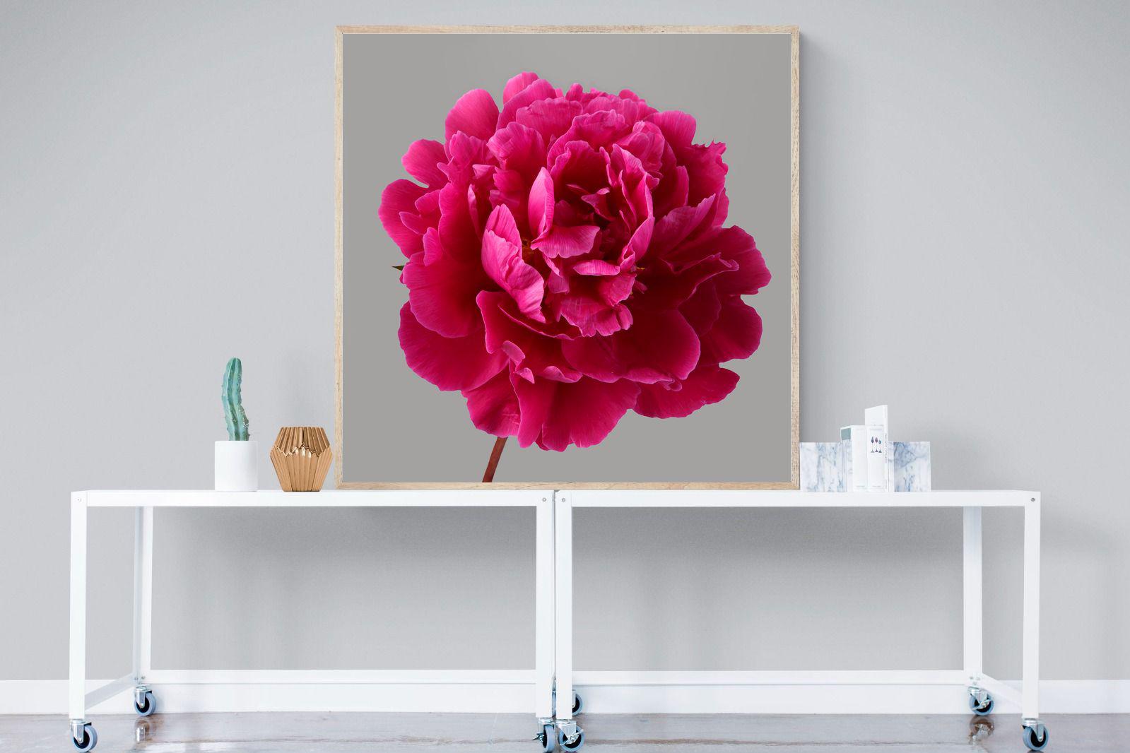 Pixalot Magenta Peony