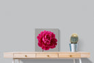 Pixalot Magenta Peony