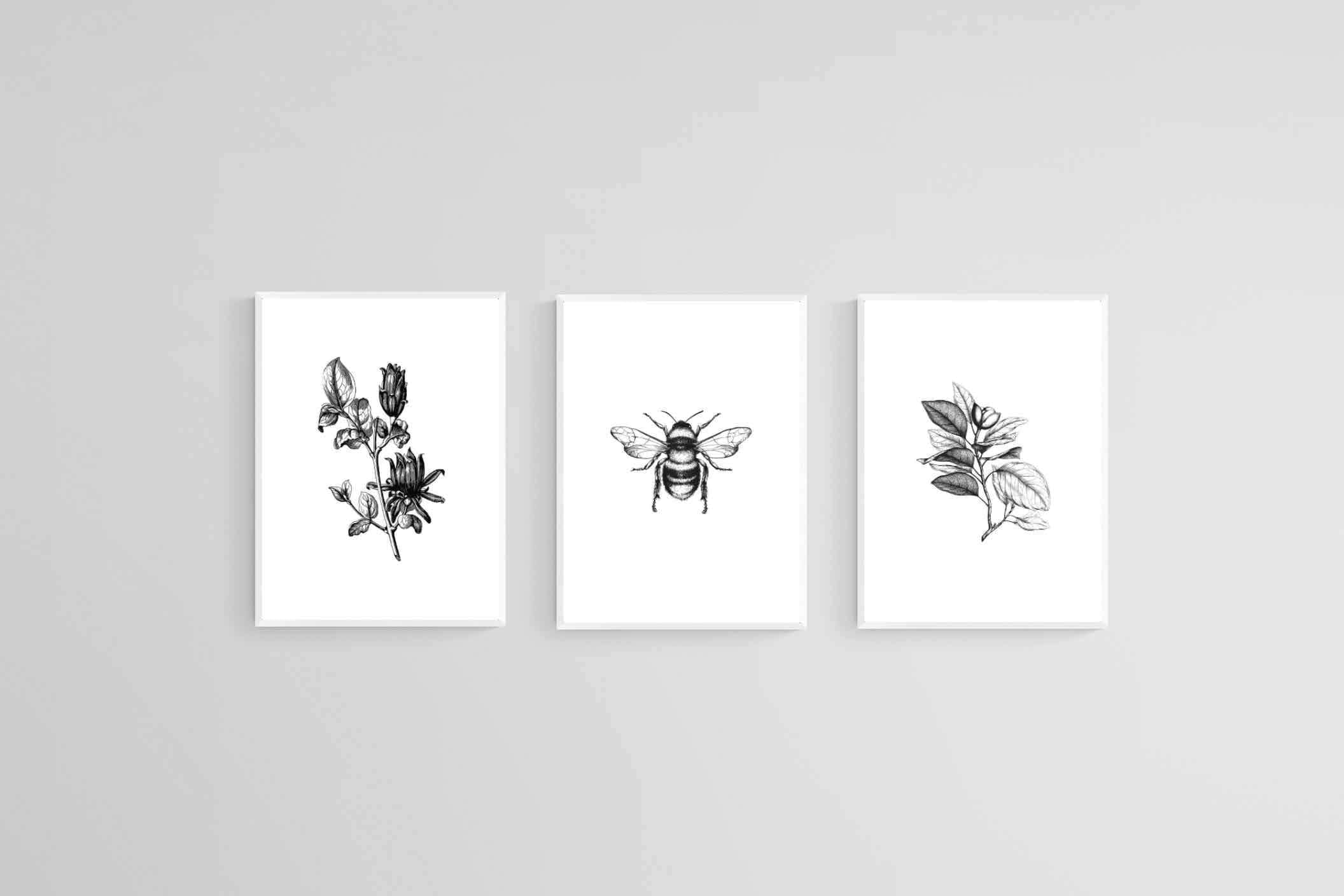 Magnolia Set-Wall_Art-45 x 60cm (x3)-Mounted Canvas-White-Pixalot