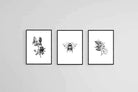 Magnolia Set-Wall_Art-45 x 60cm (x3)-Mounted Canvas-Black-Pixalot