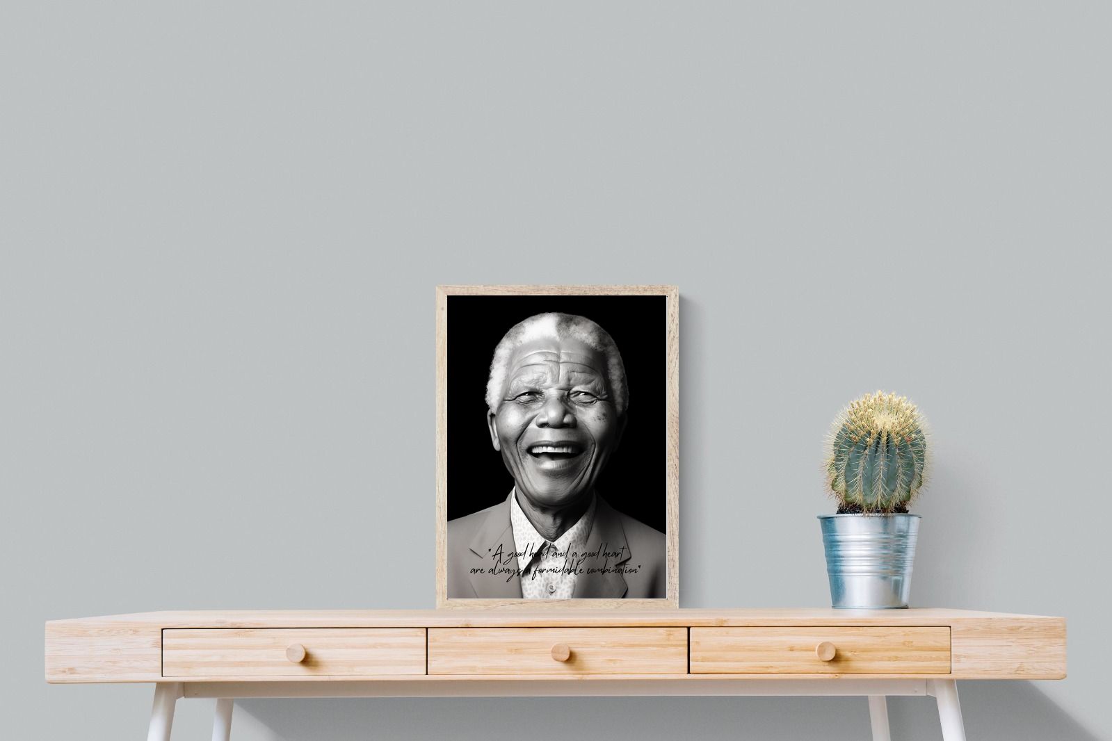 Pixalot Mandela's Wisdom