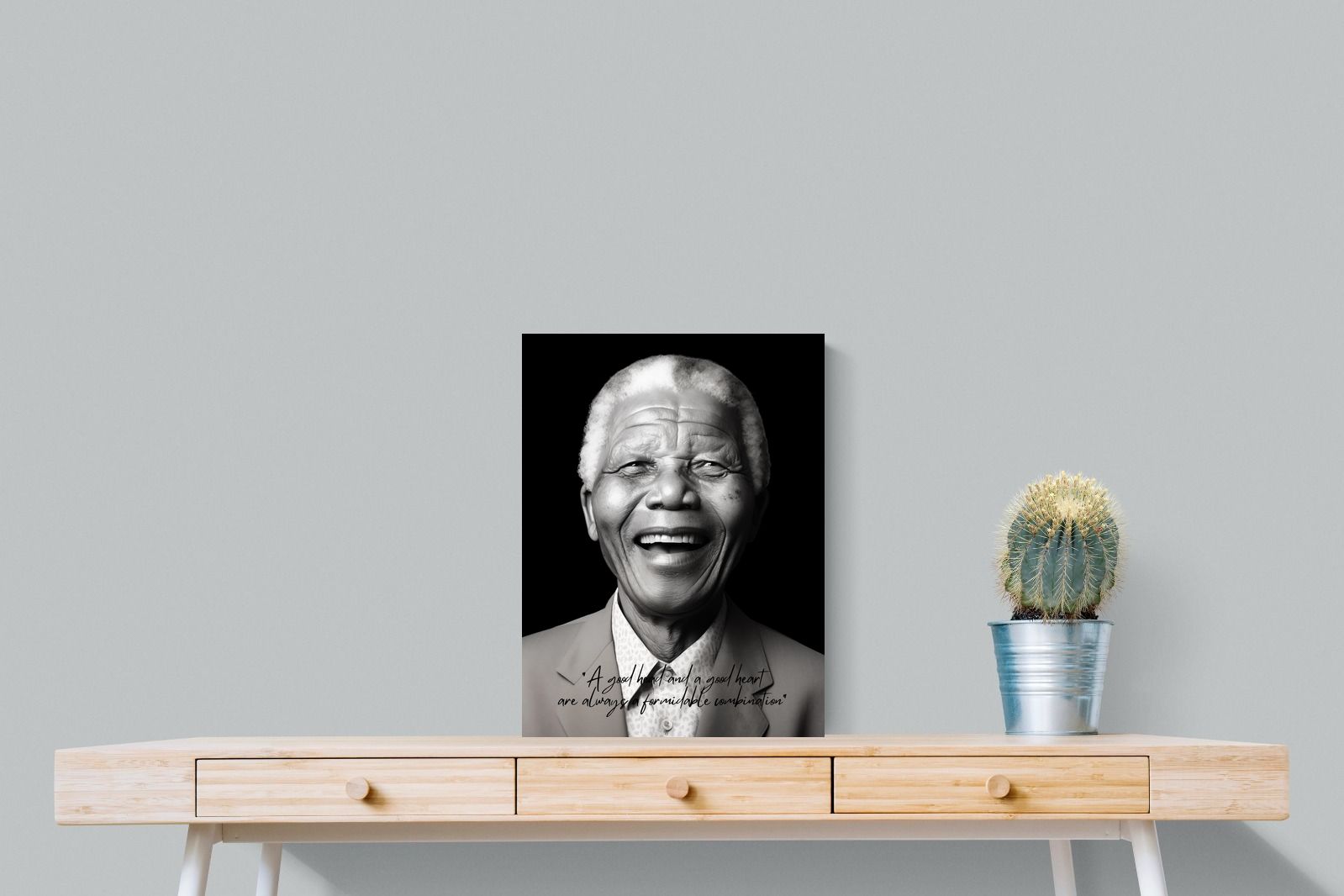 Pixalot Mandela's Wisdom