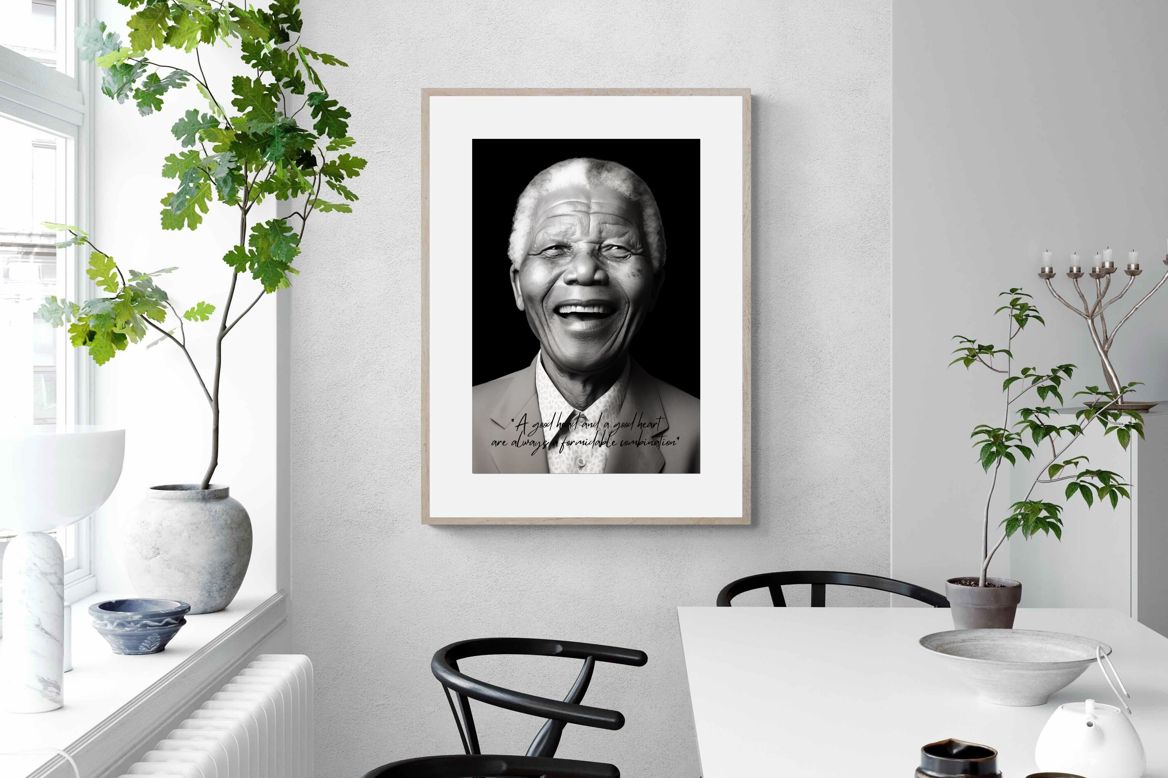 Pixalot Mandela's Wisdom