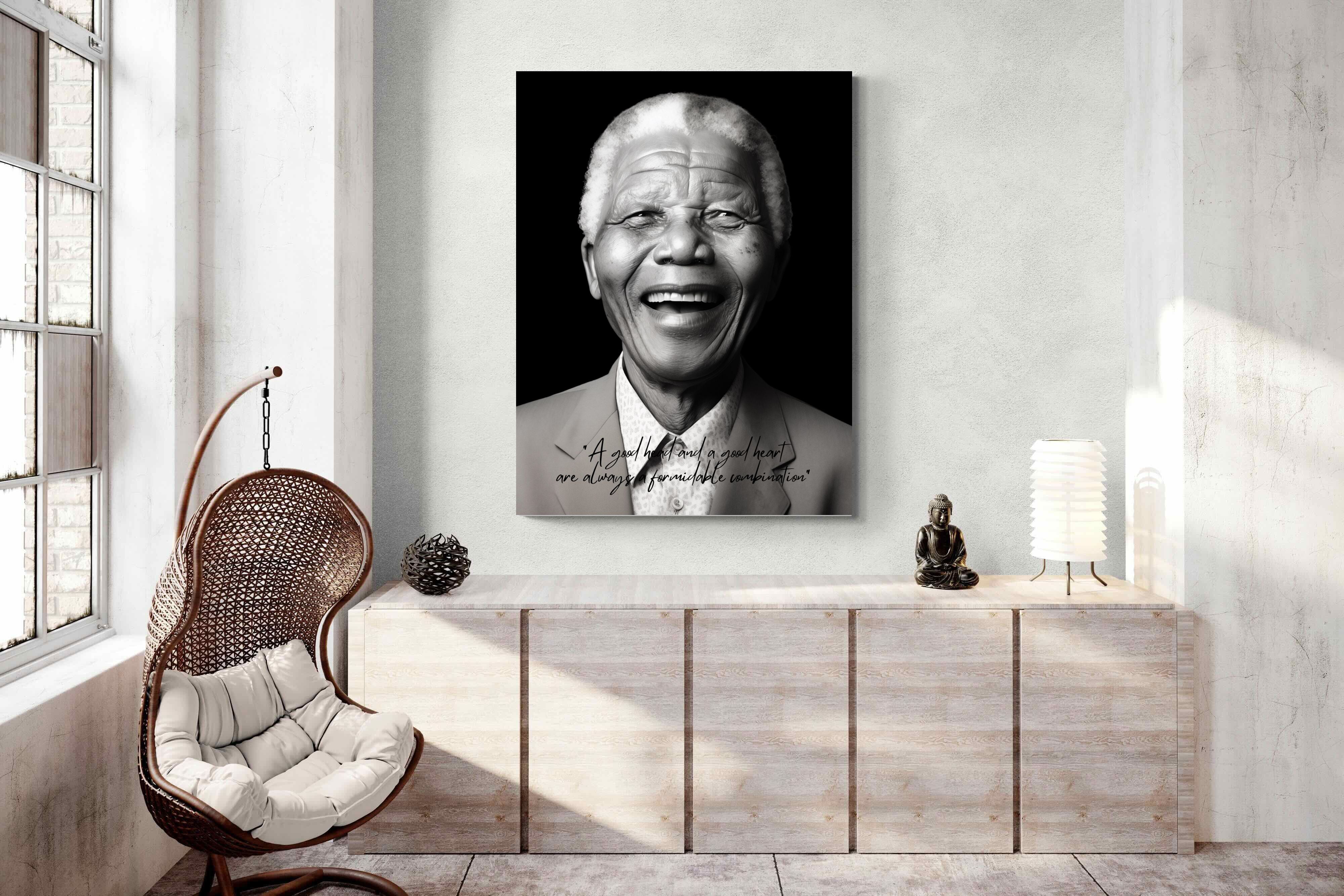 Pixalot Mandela's Wisdom