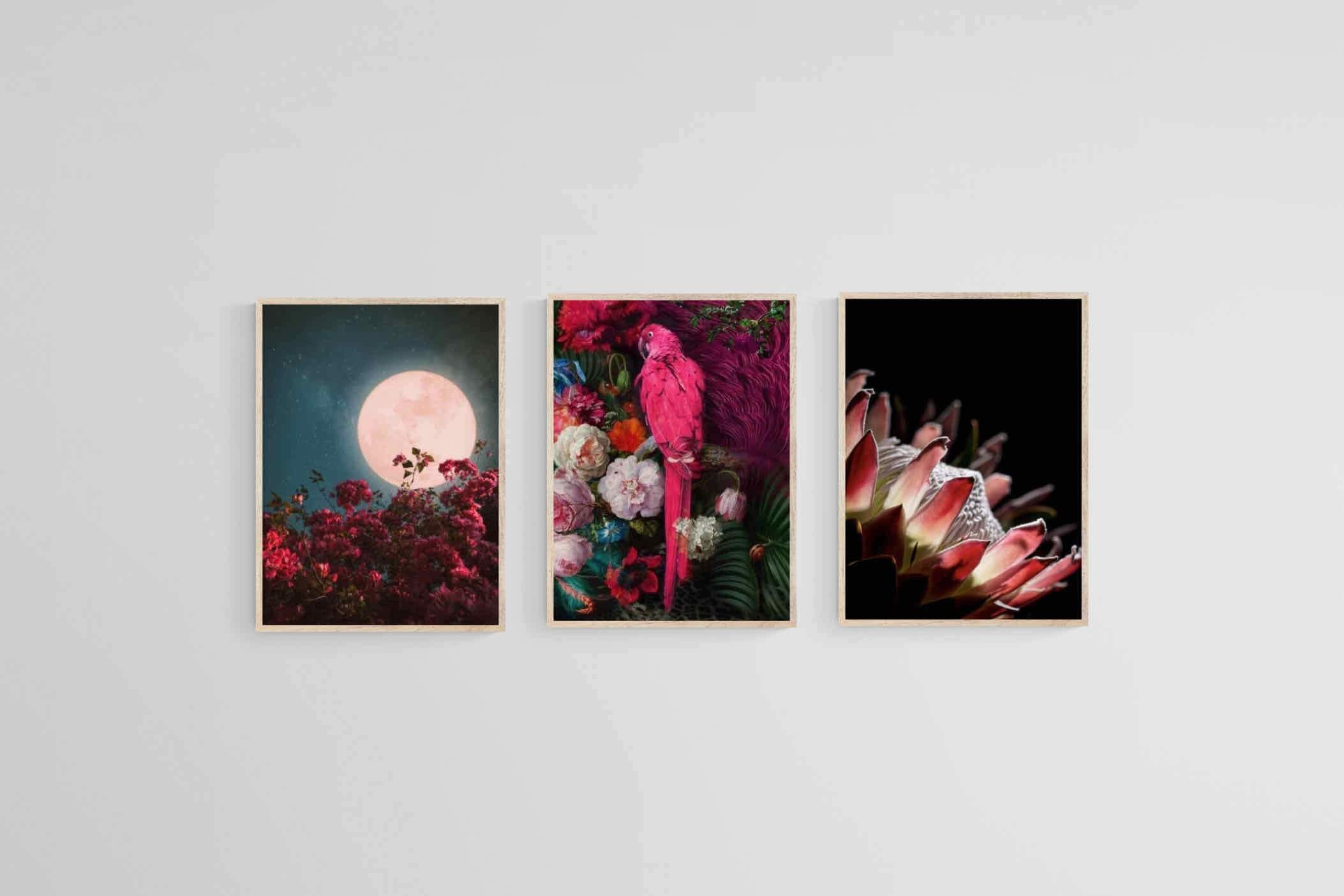 Midnight Set-Wall_Art-45 x 60cm (x3)-Mounted Canvas-Wood-Pixalot