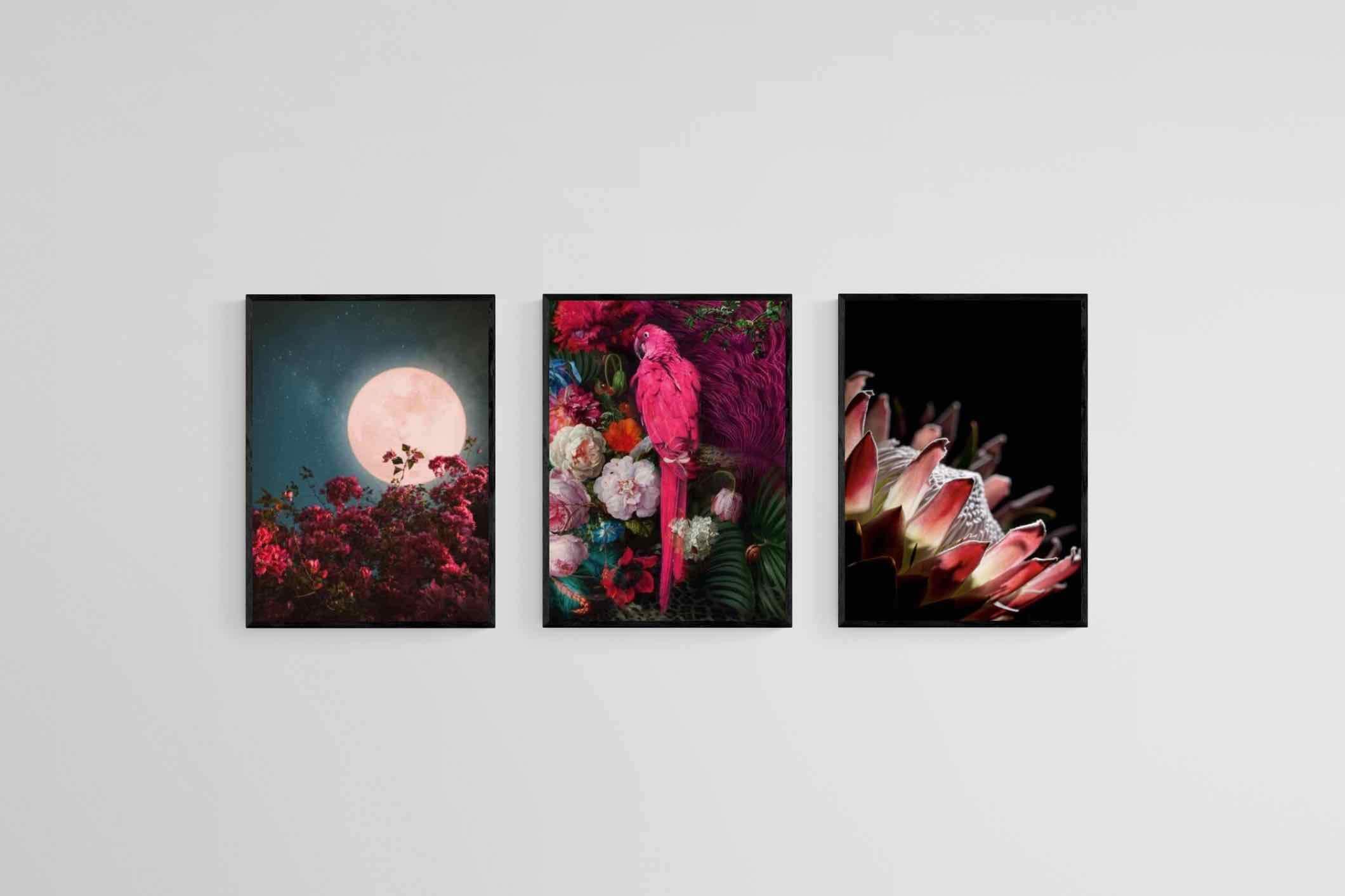 Midnight Set-Wall_Art-45 x 60cm (x3)-Mounted Canvas-Black-Pixalot