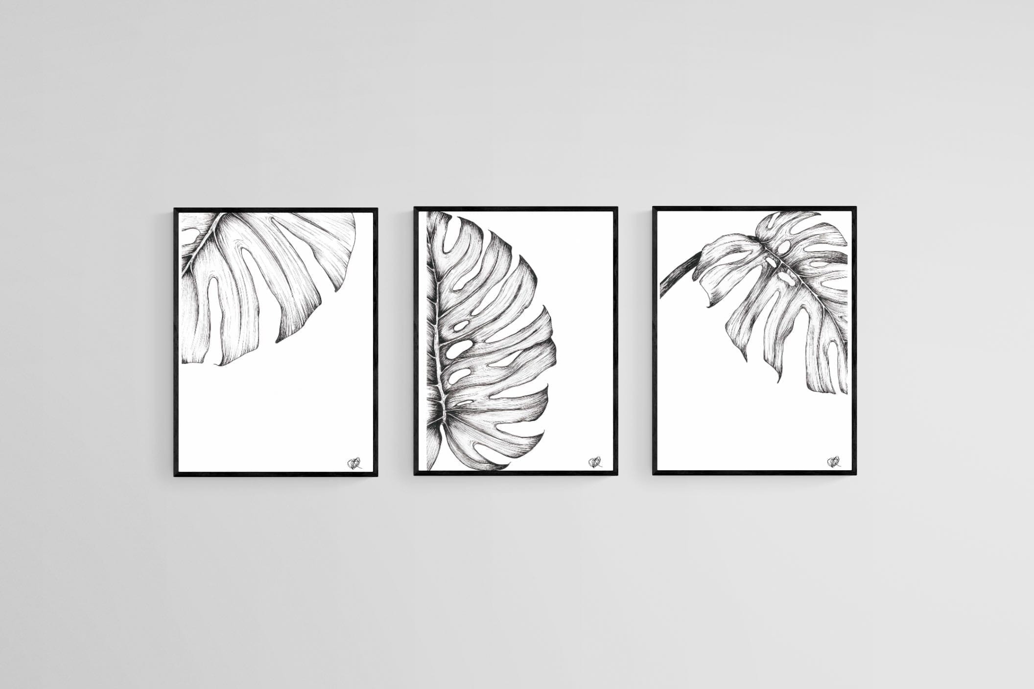 Monstera Illustration Set-Wall_Art-45 x 60cm (x3)-Mounted Canvas-Black-Pixalot