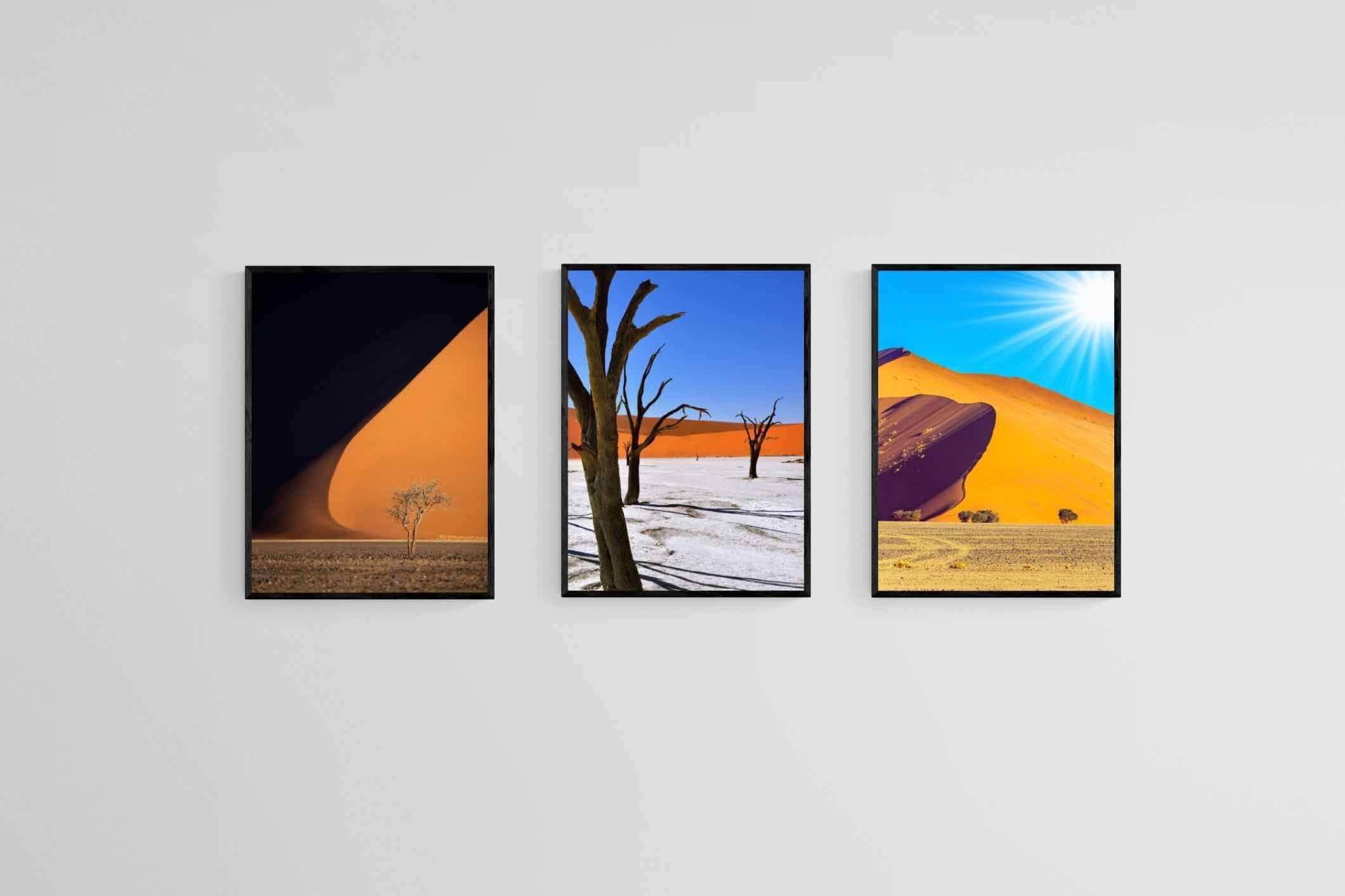 Namibia Set-Wall_Art-45 x 60cm (x3)-Mounted Canvas-Black-Pixalot