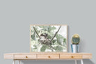 Nesting Bulbul-Wall_Art-80 x 60cm-Mounted Canvas-Wood-Pixalot