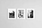 Nguni Black & White Set-Wall_Art-45 x 60cm (x3)-Framed Print-White-Pixalot