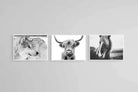 Nordic Animals Set-Wall_Art-60 x 45cm (x3)-Mounted Canvas-White-Pixalot