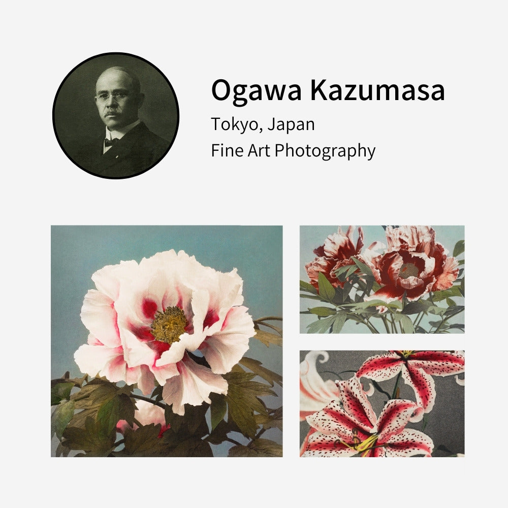 Pixalot profile of Ogawa Kazumasa