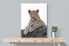 Old Blue Eyes-Wall_Art-75 x 100cm-Mounted Canvas-No Frame-Pixalot