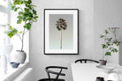 Pixalot Palm Pom Pom
