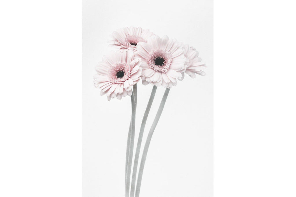 Perfect Pink Flowers-Wall_Art-Pixalot