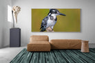 Pixalot Pied Kingfisher