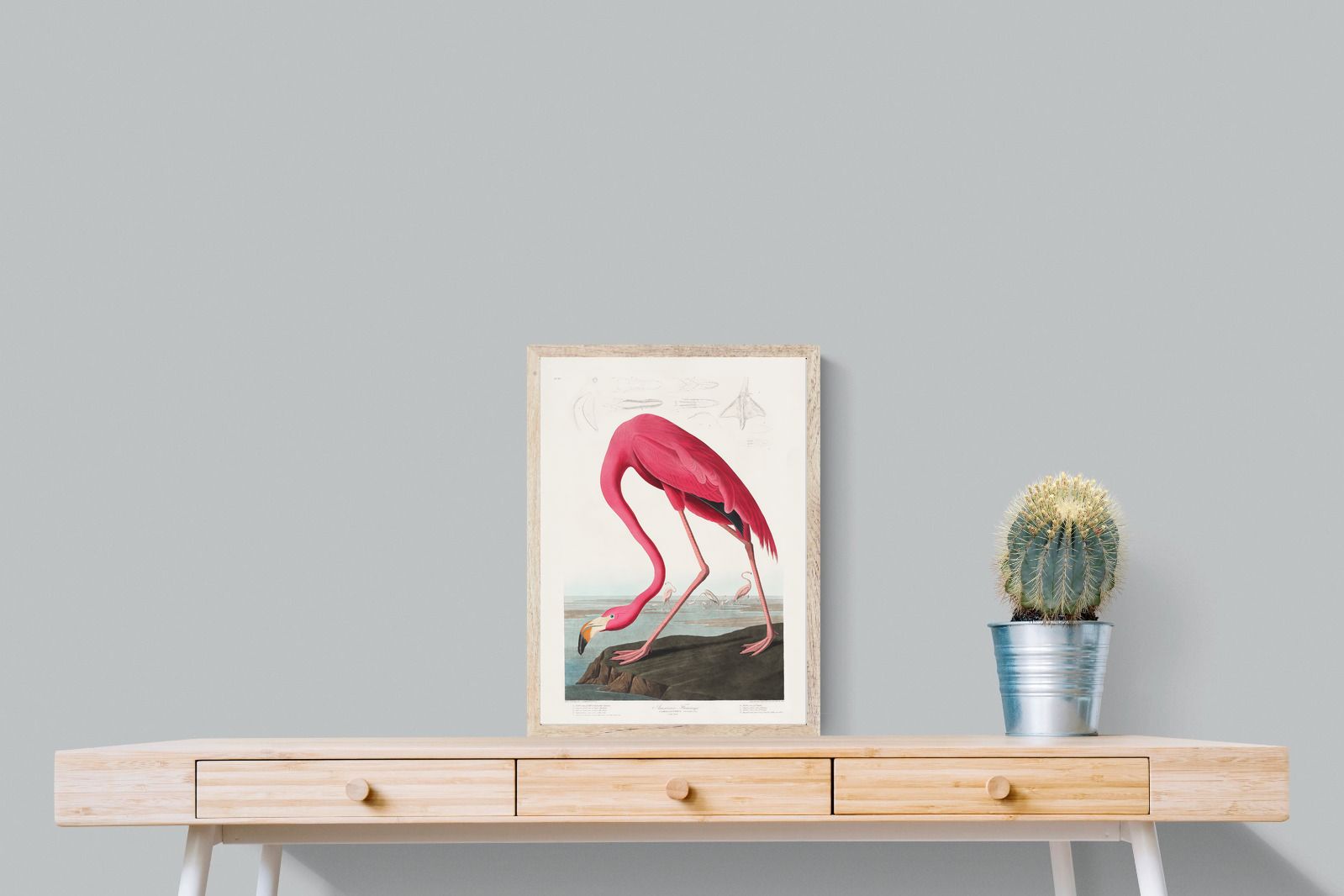 Pixalot Pink Flamingo (Birds of America 1827)