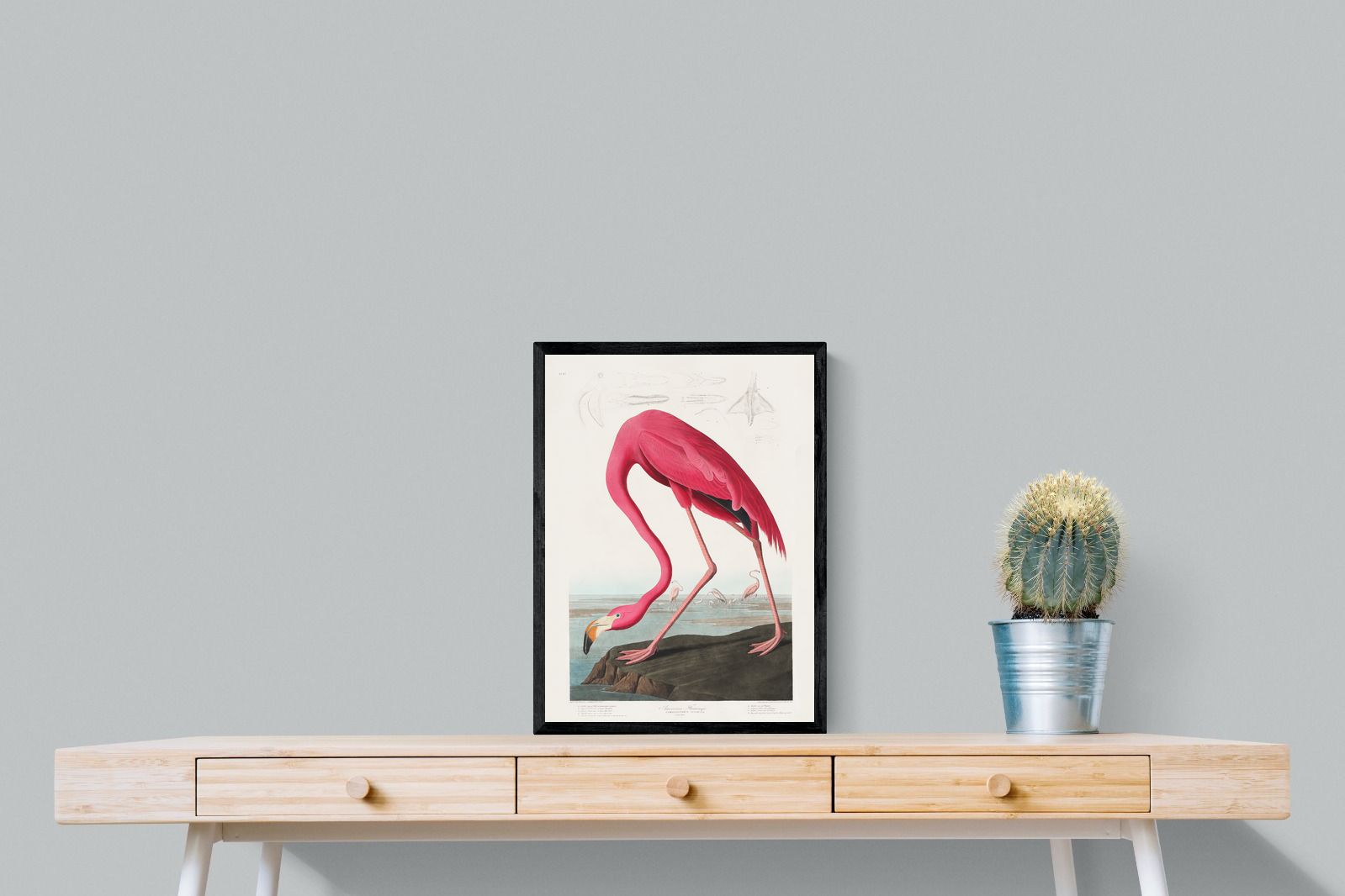 Pixalot Pink Flamingo (Birds of America 1827)