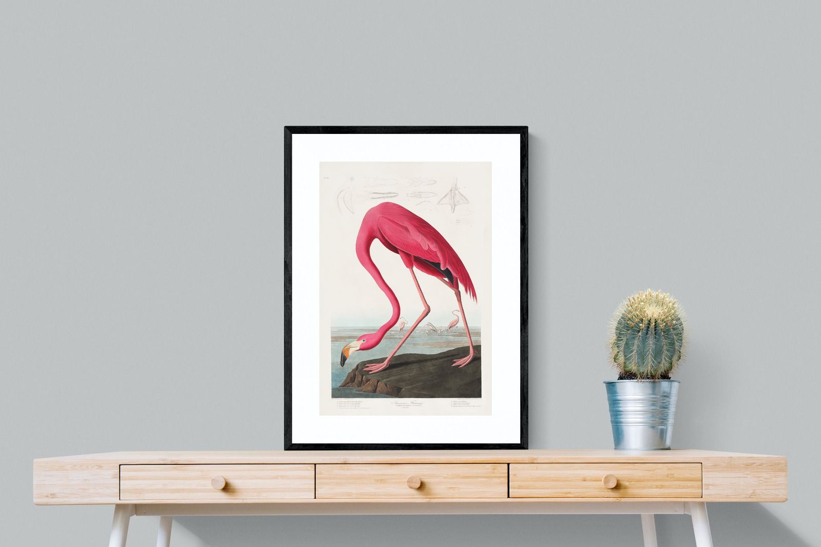 Pixalot Pink Flamingo (Birds of America 1827)