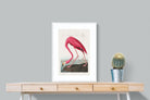 Pixalot Pink Flamingo (Birds of America 1827)