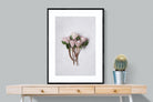 Pixalot Pink King Protea Bunch