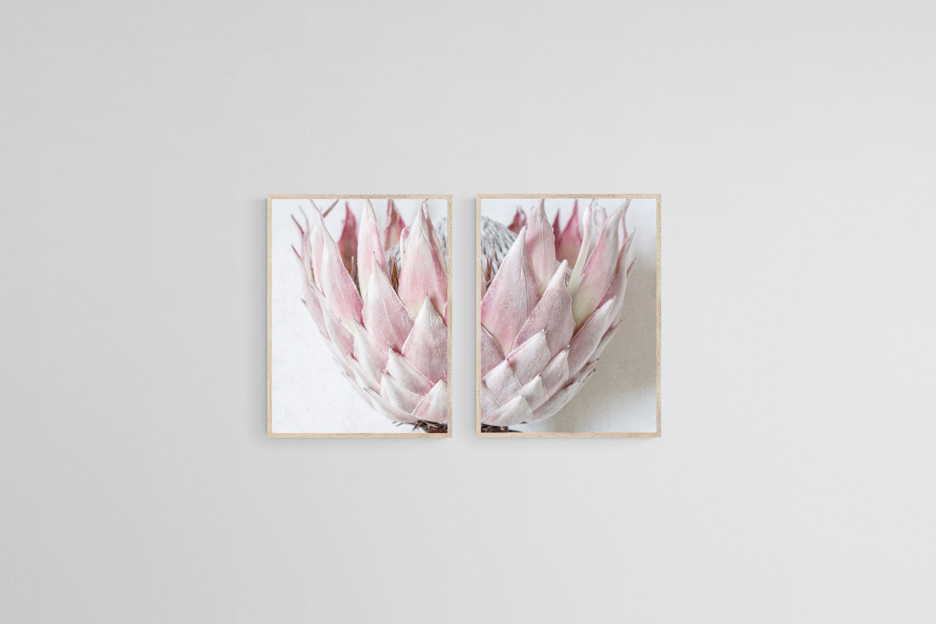 Pink King Protea Set-Wall_Art-45 x 60cm (x2)-Mounted Canvas-Wood-Pixalot