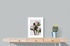 Pixalot Pink King Protea Trio