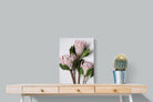 Pixalot Pink King Protea Trio
