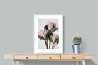 Pixalot Pink King Protea Trio