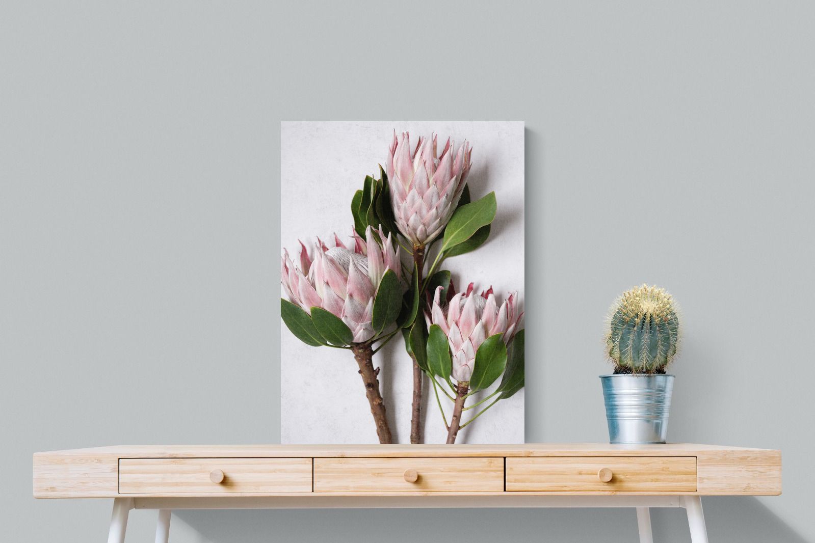 Pixalot Pink King Protea Trio