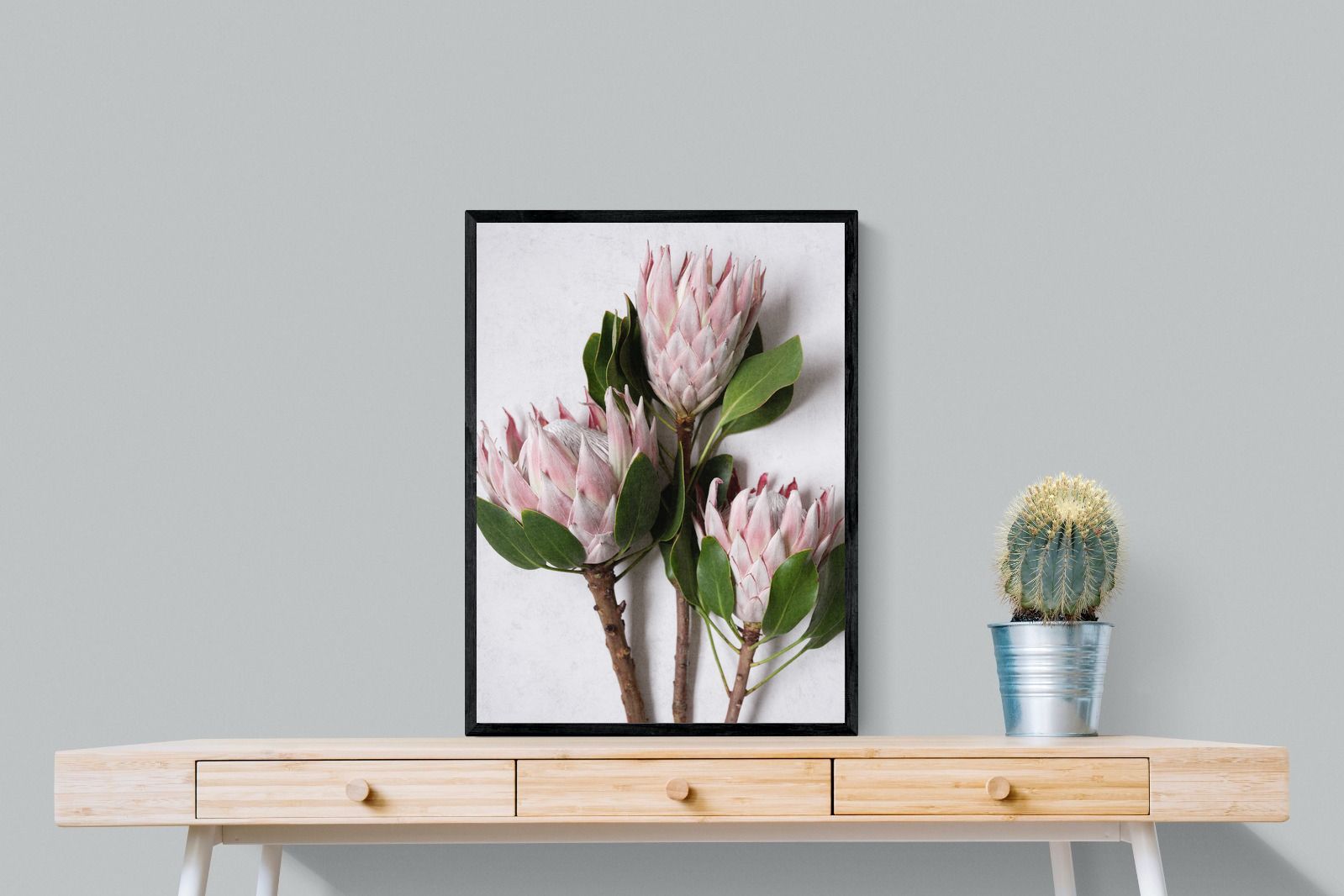 Pixalot Pink King Protea Trio