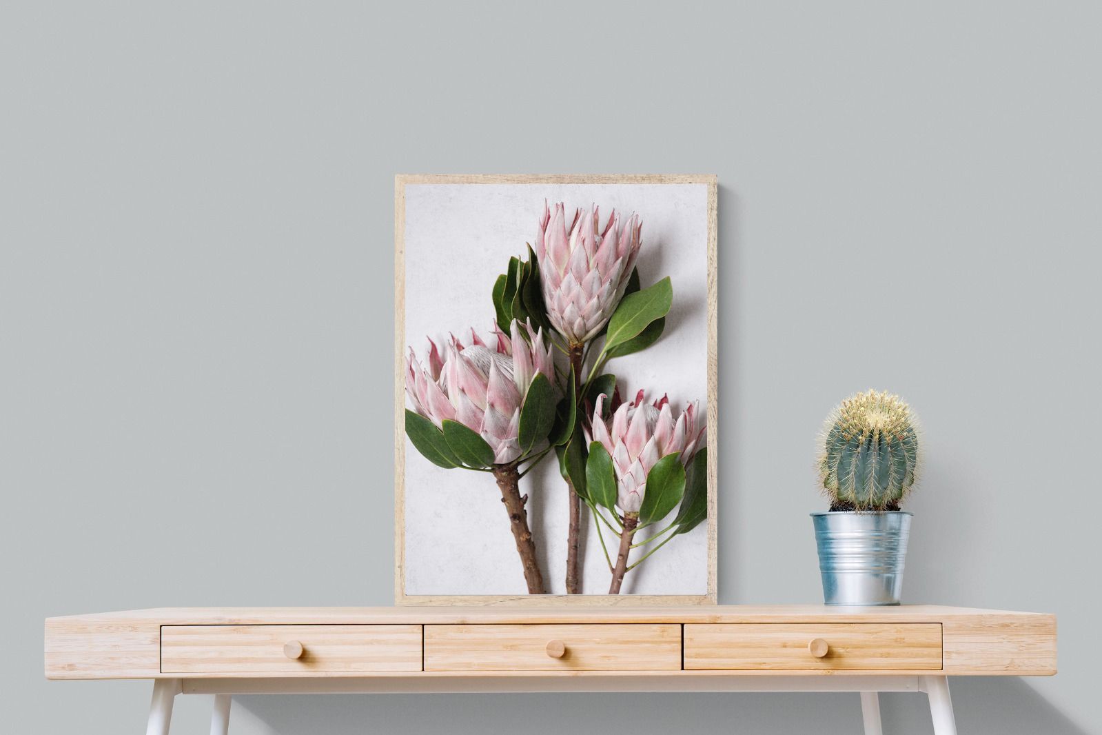 Pixalot Pink King Protea Trio