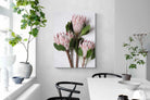 Pixalot Pink King Protea Trio