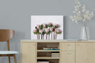 Pixalot Pink Protea Bunch