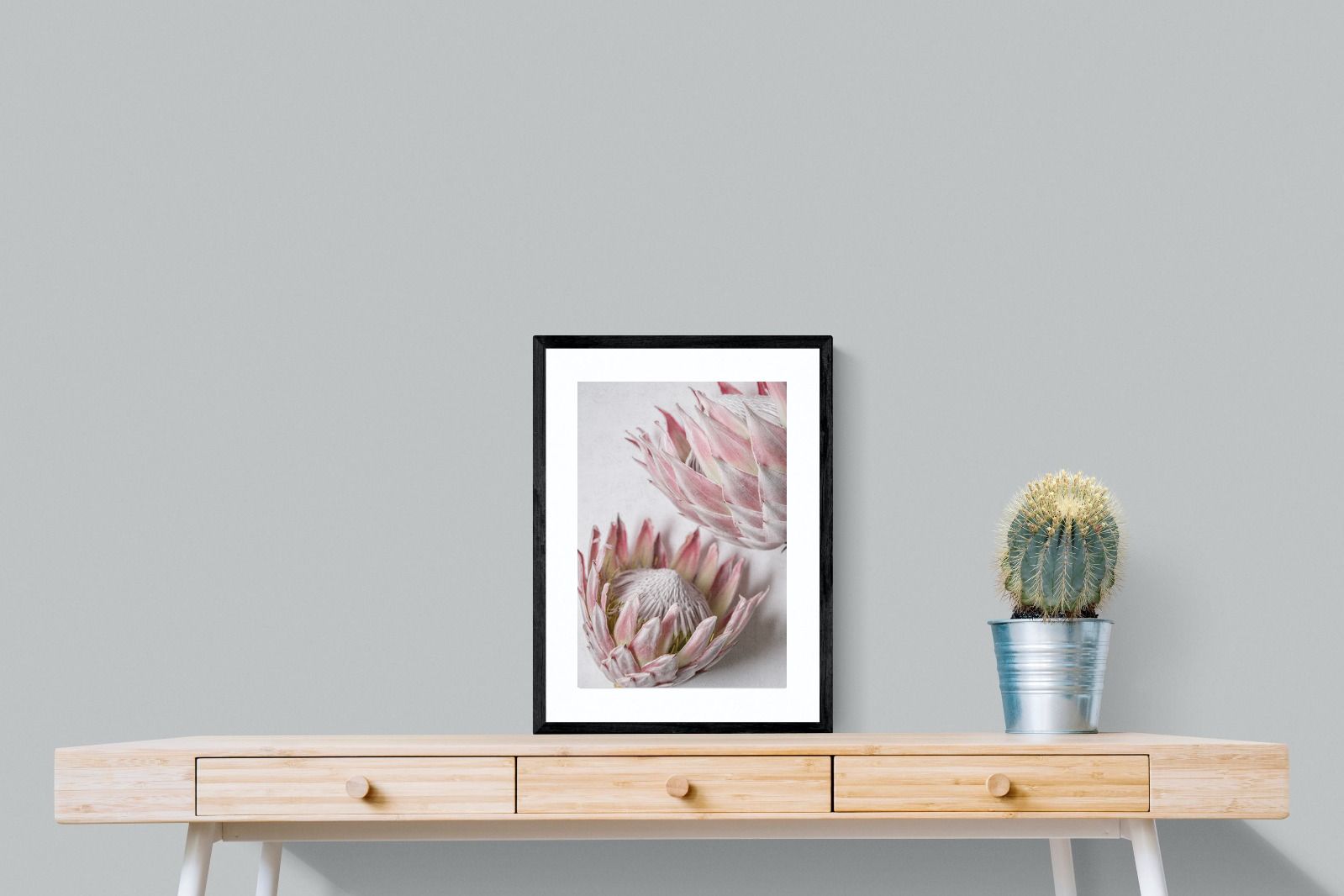 Pixalot Pink Protea Pair