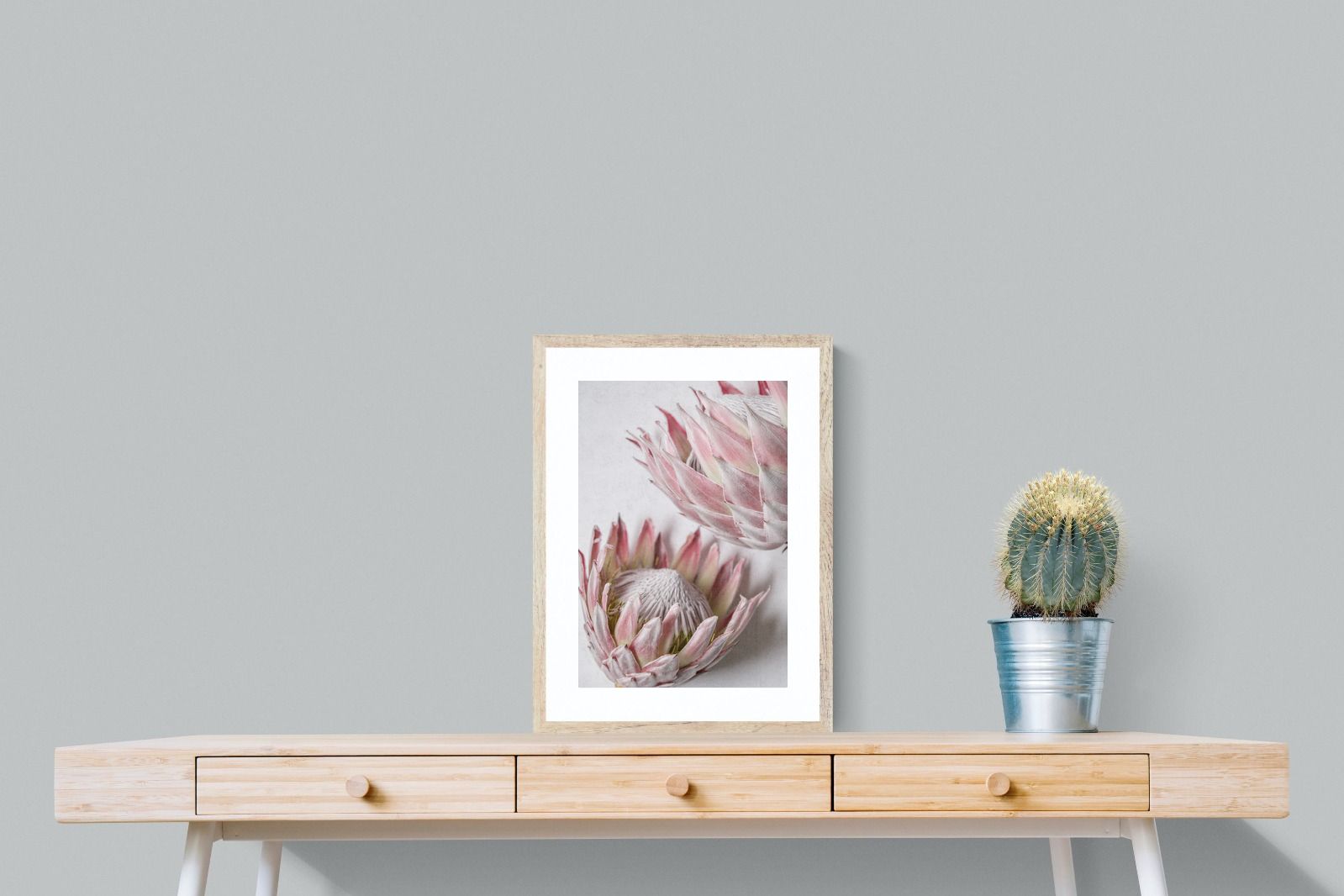 Pixalot Pink Protea Pair