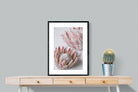Pixalot Pink Protea Pair