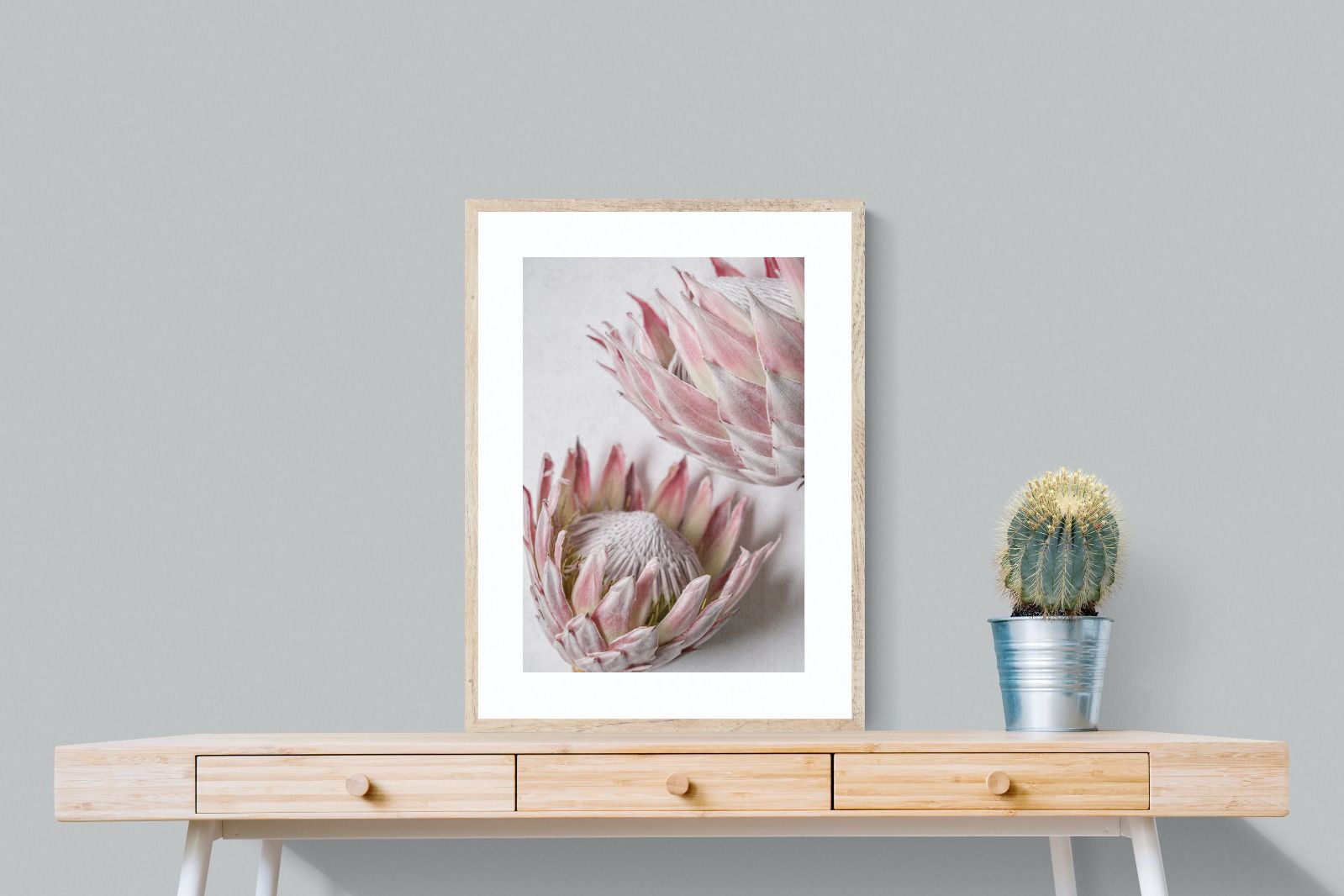 Pixalot Pink Protea Pair