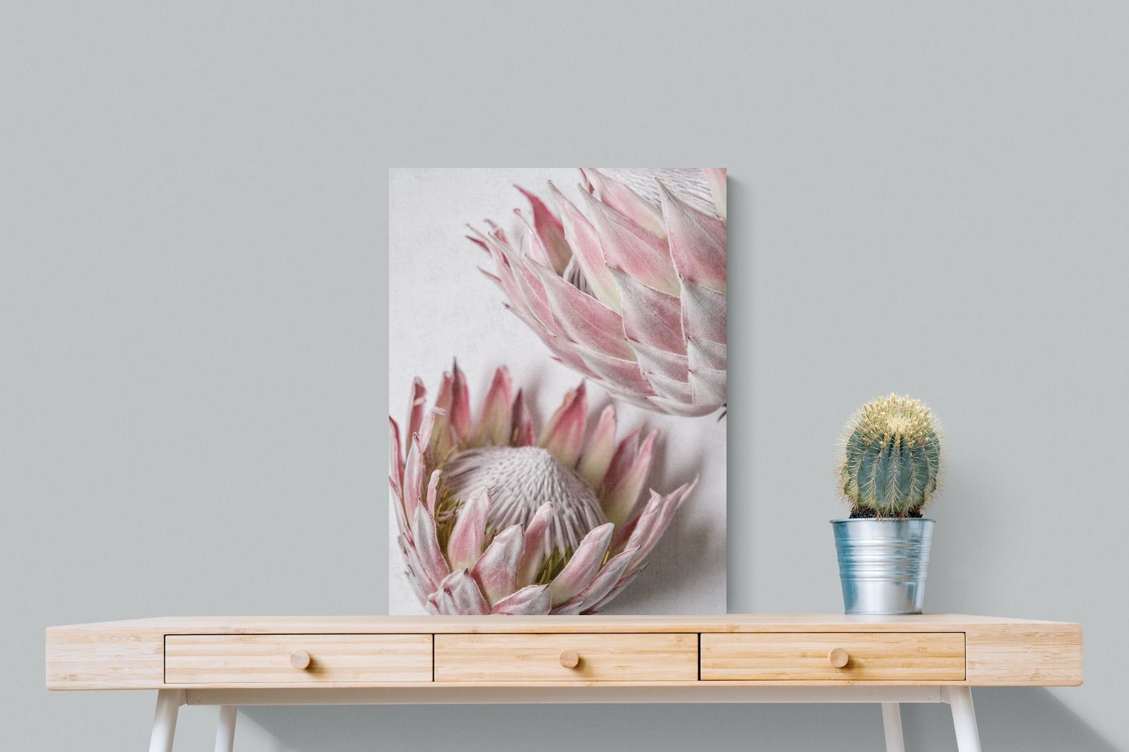 Pixalot Pink Protea Pair