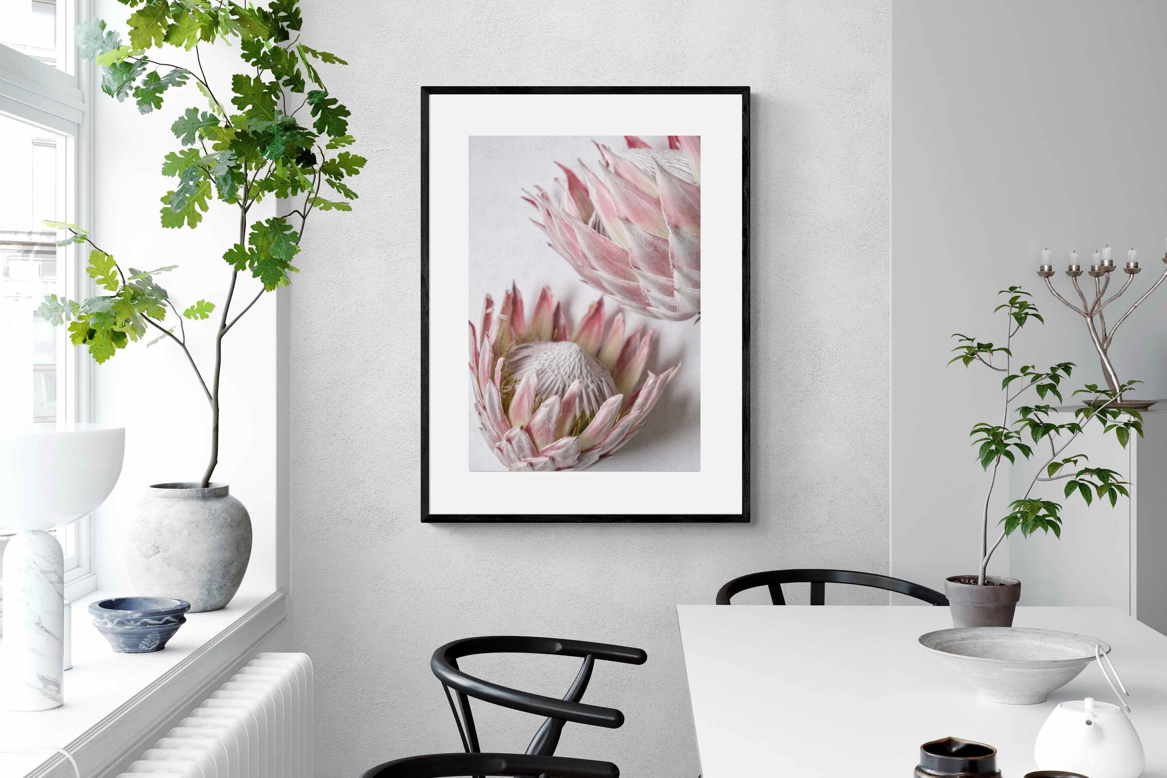 Pixalot Pink Protea Pair