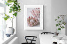 Pixalot Pink Protea Pair