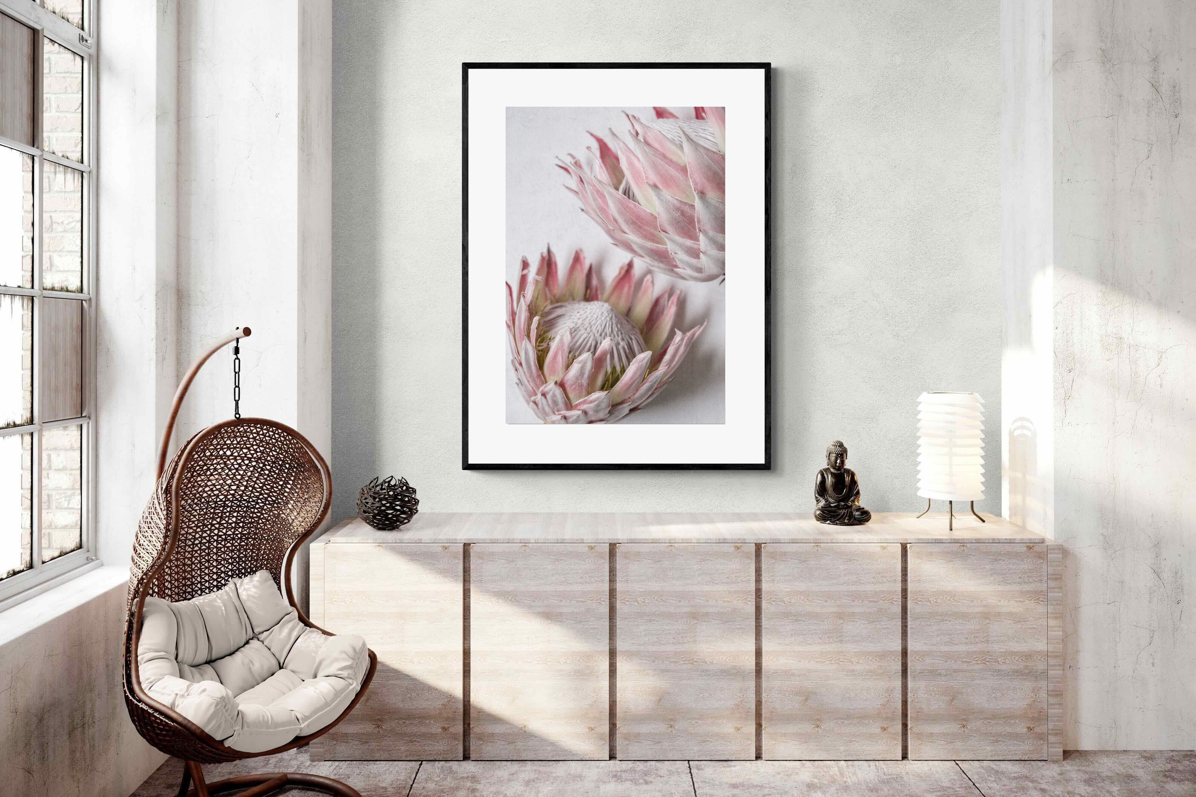 Pixalot Pink Protea Pair