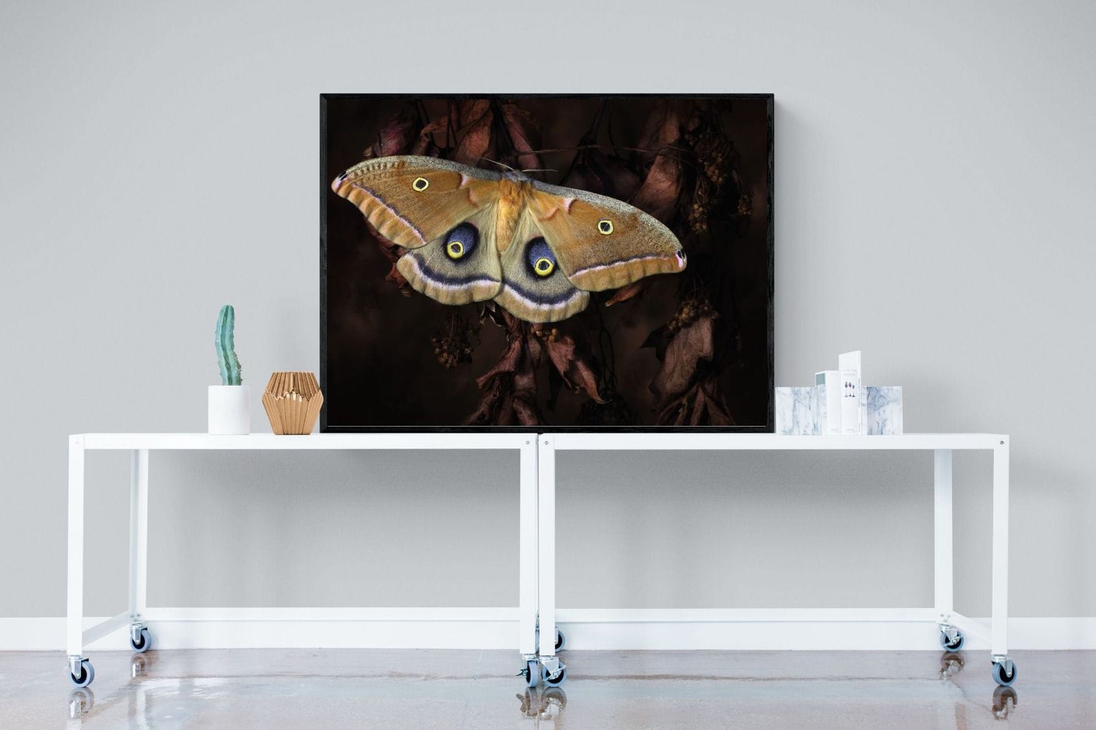 Polyphemus-Wall_Art-120 x 90cm-Mounted Canvas-Black-Pixalot